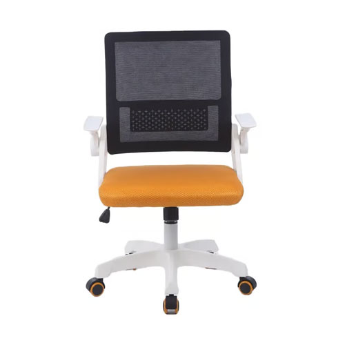 Ergonomic Office Chair