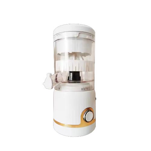 Household juicer